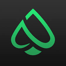 PPPoker Logo